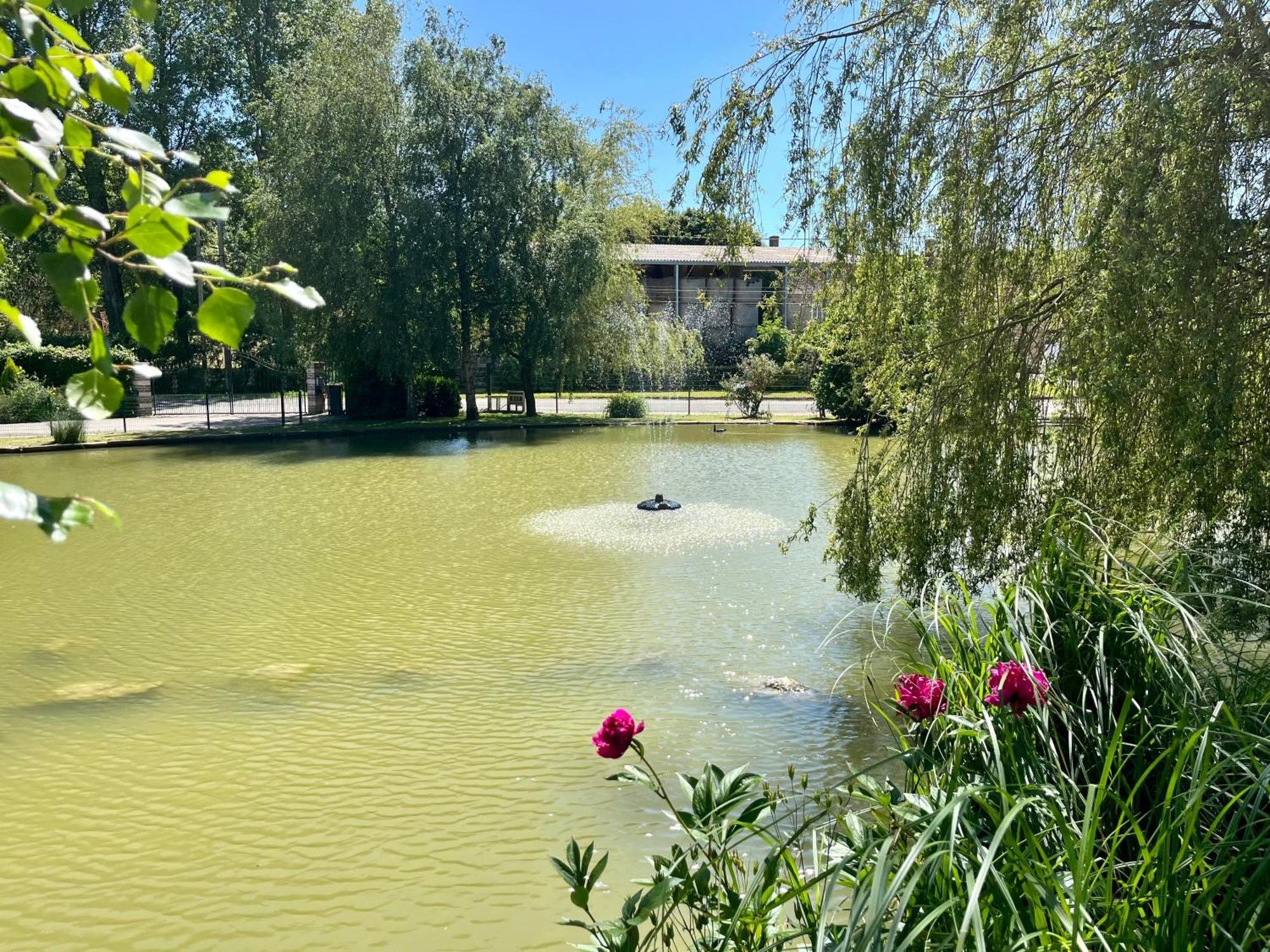 L'Etang D'Une Pause Samer Kültér fotó